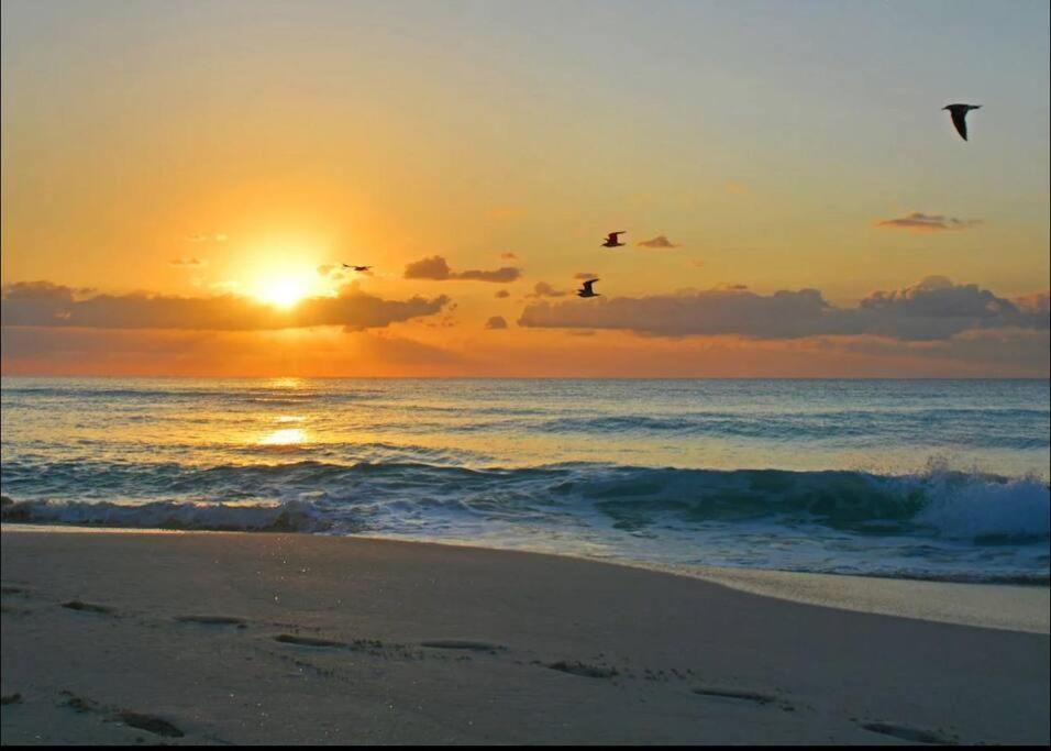 Amazing Beachfront Apartment Cancún Extérieur photo